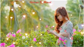Baba Ki Rani Hun Instrumental Ringtone | Alka Yagnik | Statuses By Ahmed screenshot 4