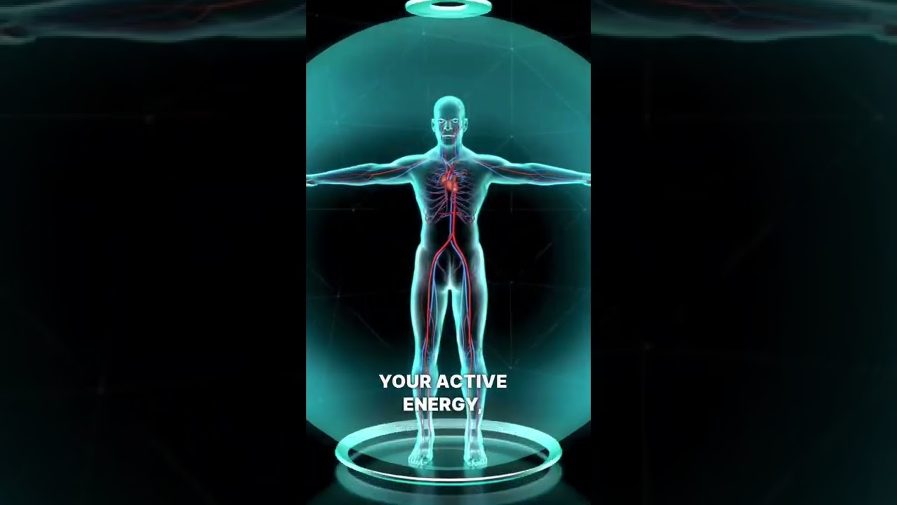 Преимущества ягод лимонника