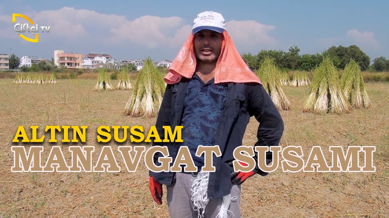 Altın Susamın Öyküsü - Toroslarda Tarım