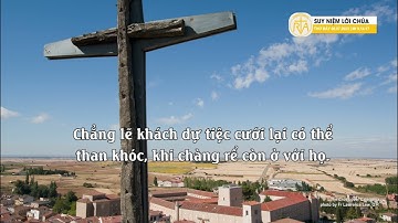 Suy Niệm Lời Chúa, Thứ Bảy Tuần XIII Thường Niên (08/07/2023)