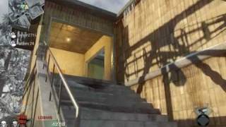 Call Of Duty Black Ops - Crazy Tomahawk Kills!