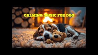 12 HOURS of Dog Calming Music 🎵 Gentle Anti-Anxiety Melodies for Stress Relief and Deep Pet Sleep