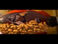 The Nut Job (2014-01-16)