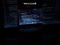 The city is asleep, but the compiler is wide awake. 🌌💻