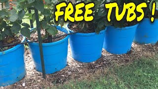 HOW CAN I GET THESE TUBS FOR FREE WHERE CAN I FIND WICKING-TUBS HOW TO LK FOR THEM 