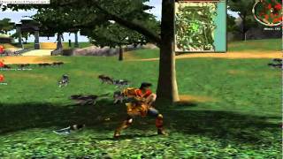 Metin2 Official servers Hack 2011 09