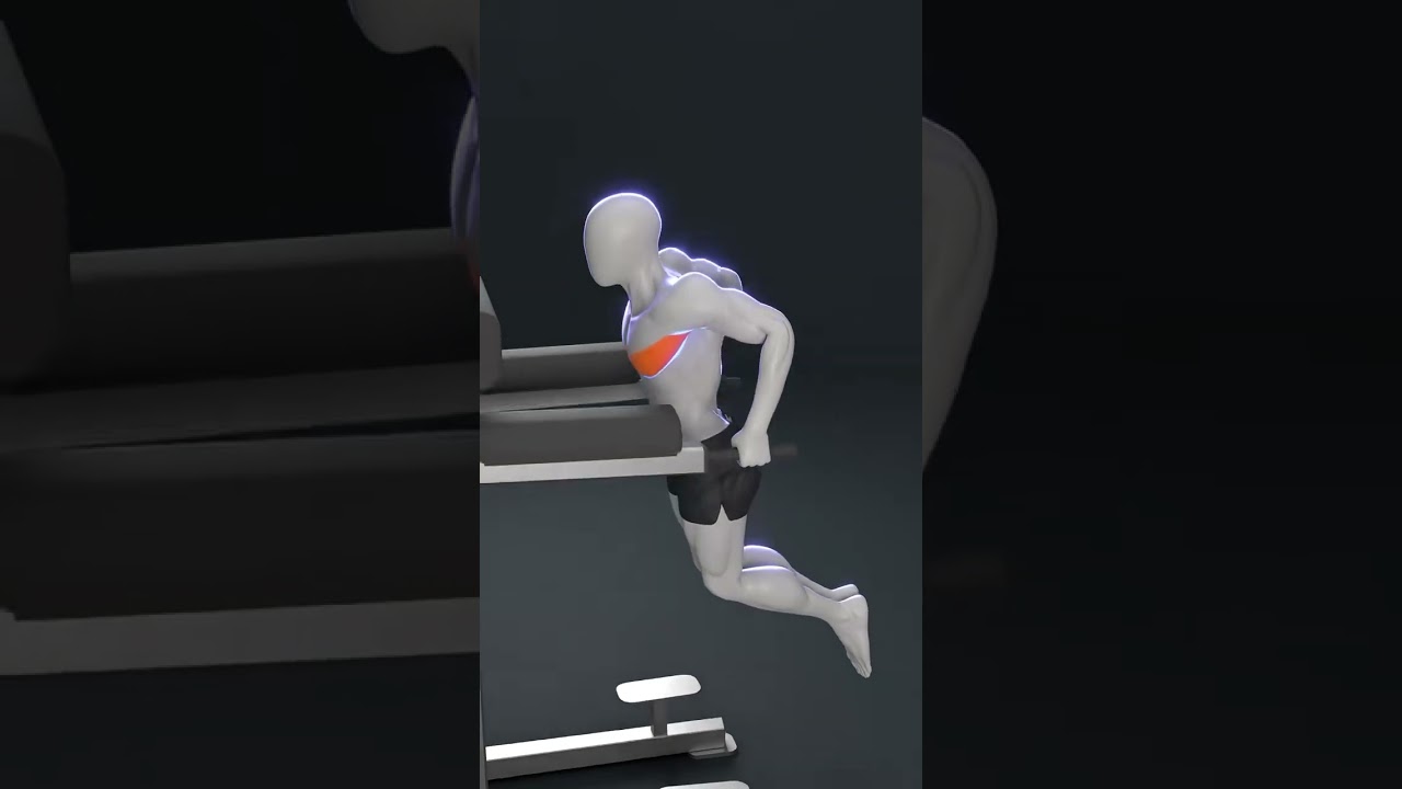 3D animation demonstrates the correct movement of the parallel bar arm extension!