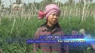 BTV Khmer Agriculture News