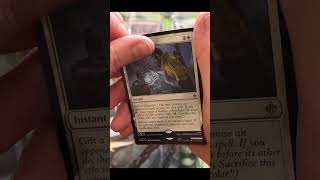 INSANE $400 PACK! MTG The Hobbit Collector Booster