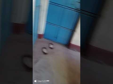 A Walk Around Priston MercyNguku The World Traveller Ourafricanvillagehomekatutu