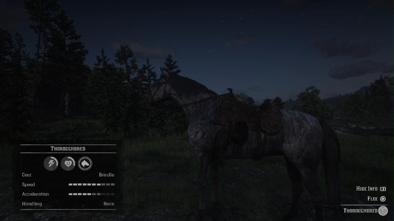 RDR2 Brindle Thoroughbred Easy Chapter 2 - YouTube