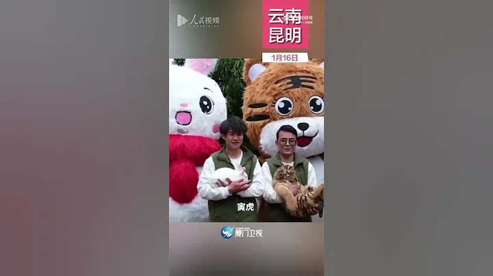 【大陸】新年儀式感滿滿！超萌虎兔交接班 - 天天要聞