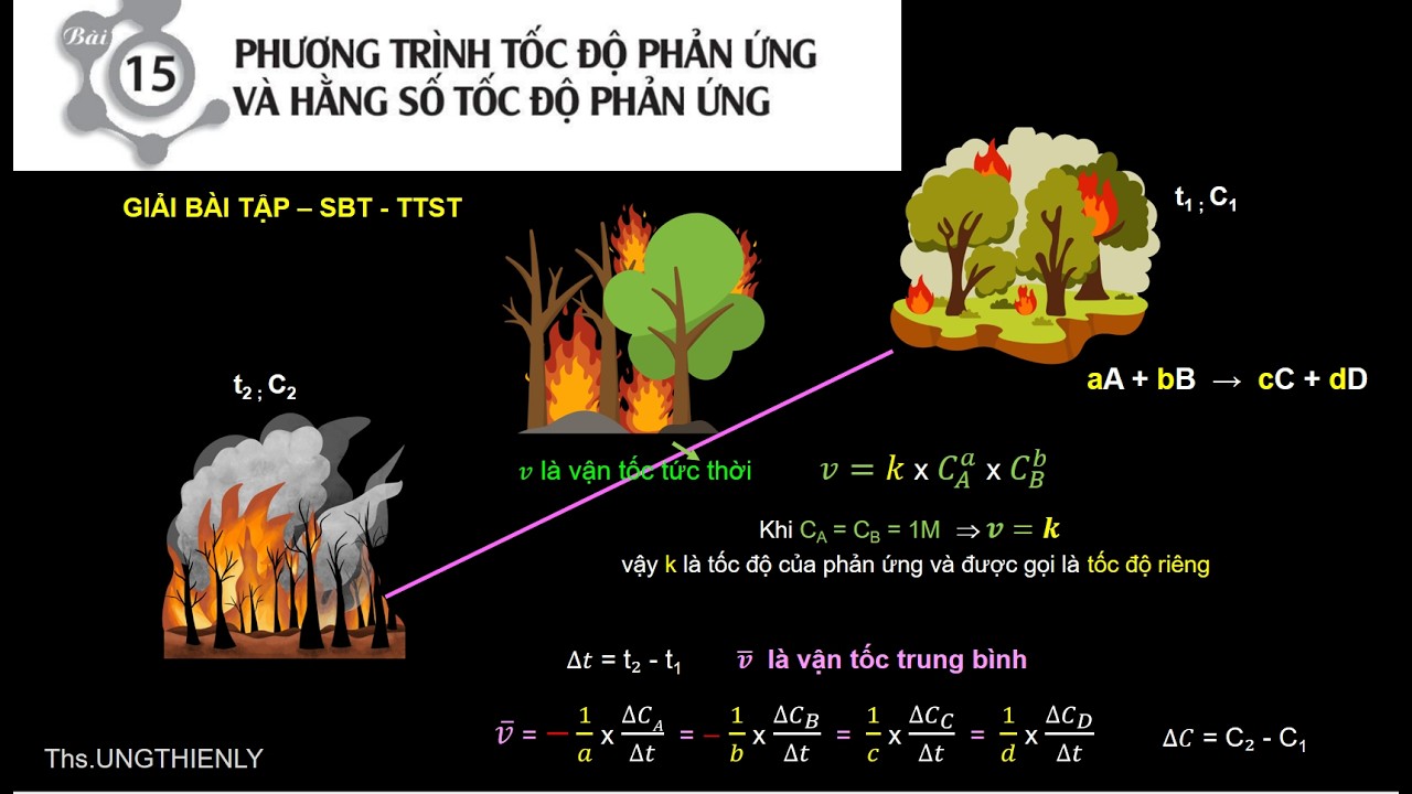 SBT Bài 15   PHƯƠNG TRÌNH TỐC ĐỘ PHẢN ỨNG VÀ HẰNG SỐ TỐC ĐỘ PHẢN ỨNG