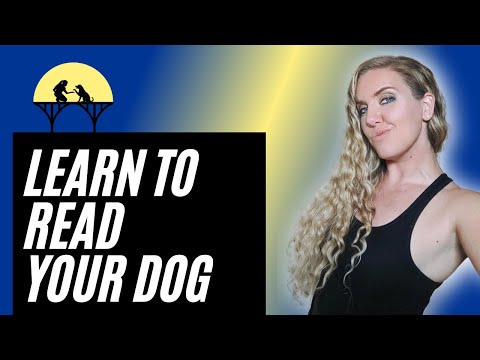 How to Read