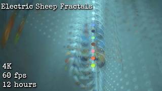 Electric Sheep Fractals 4K 60fps 12 hours ambient animation