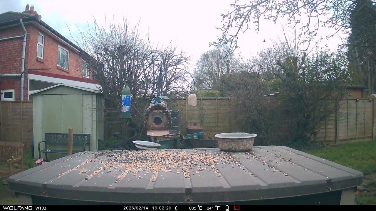 vlc record 2026 02 19 20h41m38s IMAG0103 avi