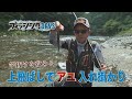 フィッシングDAYS　「竿抜けを攻める　上飛ばしでアユ入れ掛かり」