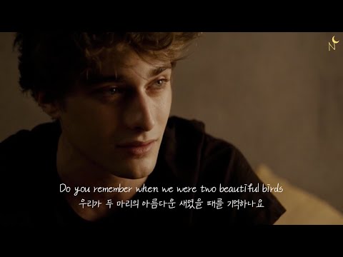 [스캄프랑스 skamfrance] Passenger - Beautiful Birds (feat. birdy) [lyrics/가사] 패신저 beautiful birds