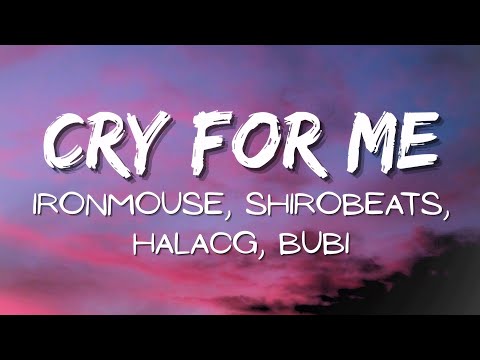Cry For Me WA WA WA Feat Bubi IRONMOUSE Lyrics 