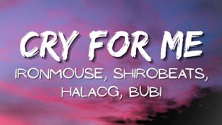 Cry For Me (WA WA WA) (feat. Bubi) - IRONMOUSE (Lyrics)