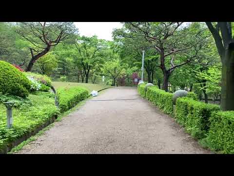 영상썸네일