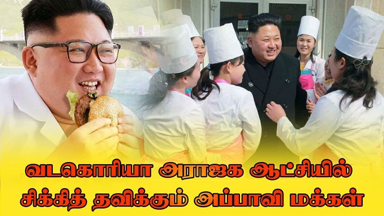 top 20 facts about north korea ll north korea rules in tamil ll tamil