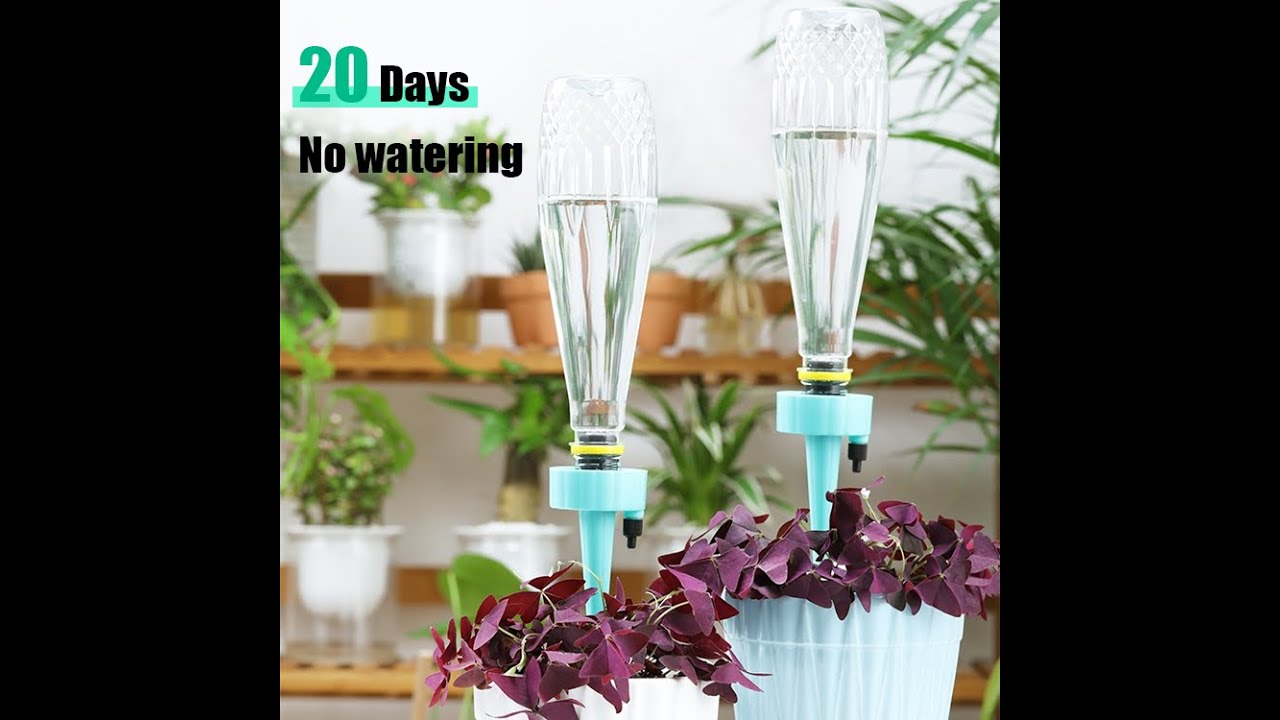 3PCS Automatic watering tool