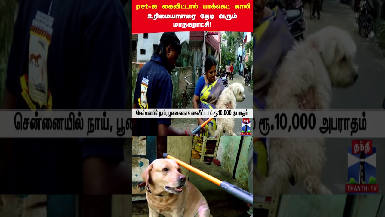 chennai | pets | fine