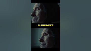 Brain Simulation  Are Digital Minds Alive