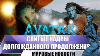 Аватар 2 Путь Воды | Слитые Фото И Видео Треллера Появились В Сети