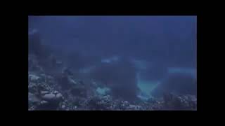 Footage from the 1990s shows a UFO underwater off the coast of the Bahamas