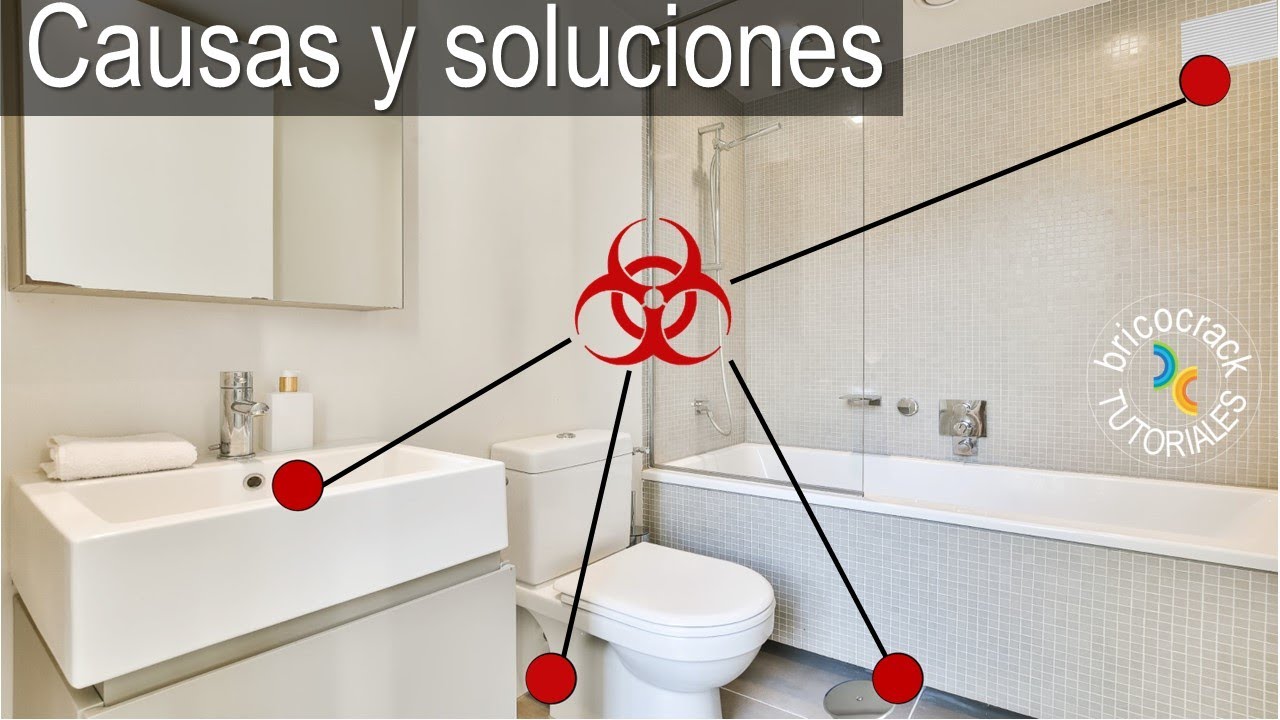 Malos olores persistentes en el baño: causas y soluciones (Bricocrack) -  YouTube