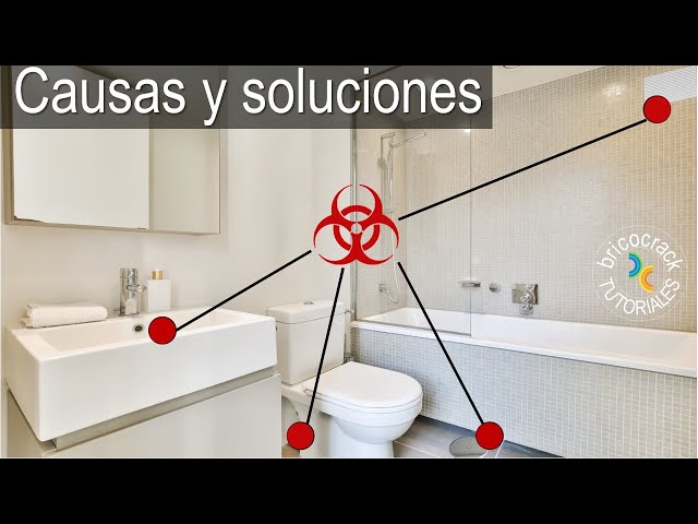 Cómo eliminar malos olores en el baño - Balnearian