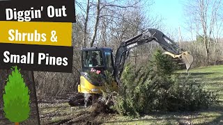 Digging Up Shrubs & Small Pine Trees w/ Mini Excavator