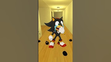 WHO MAKES SHADOW SONIC LAUGHING SO HARD WITH AMY SONIC in GARRYS MOD