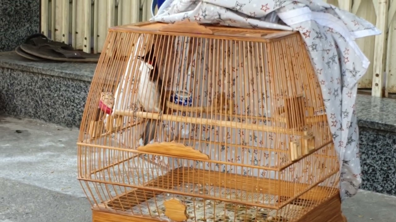 AE THAM KHẢO VỀ PHÂN NÁT