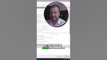 Unveiling Game Secrets Debugging and Decompiling for In Depth Analysis