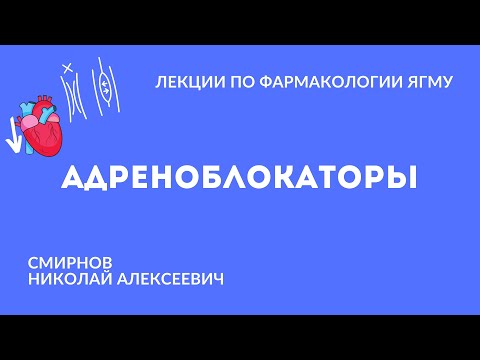 Адреноблокаторы | Медиаторная фармакология