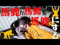 【馬鹿が馬鹿を馬鹿にする】 Official Music Video