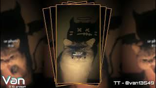 Preset Alight Motion 🎟️🎟️ || Dj Mantan Jadi Mama Muda x My Neck My Back ||