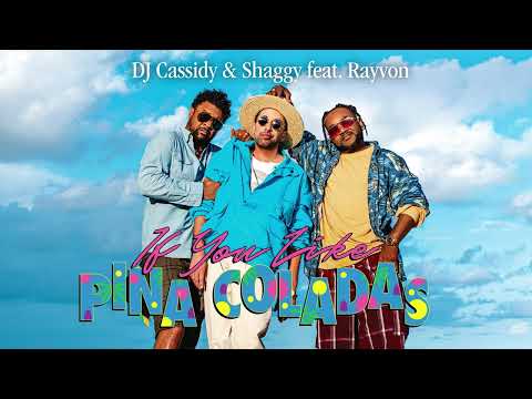 Shaggy & DJ