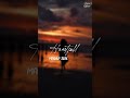 Heartfall Mashup 2026 #mashup #lovesong #emotional