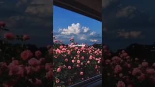 Yung Kai  Blue  Aesthetic S Edit  S   yungkai blue s