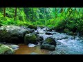 🌊 Relaxing Stream Sounds for Deep Sleep, Stress Relief and Calm Mind 💆♂️