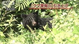 クマ出没相次ぎ・・・「注意報」を「警報」に引き上げ（10/10/05）