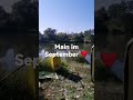 Main/Angeln im September. Ganzes Video in Kürze 😁.