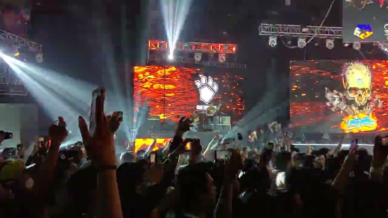 Greyhoundz - Pig Face DUTDUTAN 2022