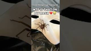 The Reality Of Making Vids