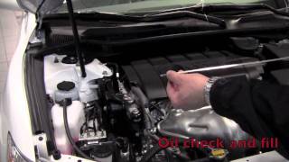 2011 | Toyota | Camry | Check Oil and Other Fluids | How To by Toyota City Minneapolis MN