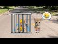Baby Banana Cat Videos 😺❤️ 10 Minutes Episode 11